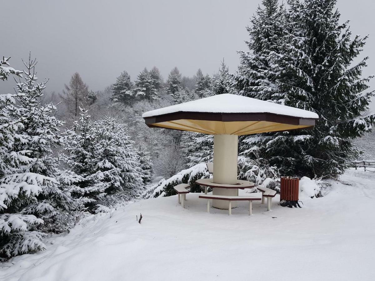 Domki I Pokoje U Ilony Krościenko Esterno foto